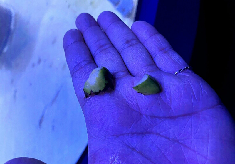 Betel chewing sa Taiwan: Mula sa kabutihan ng panlipunan hanggang sa panganib sa kalusugan