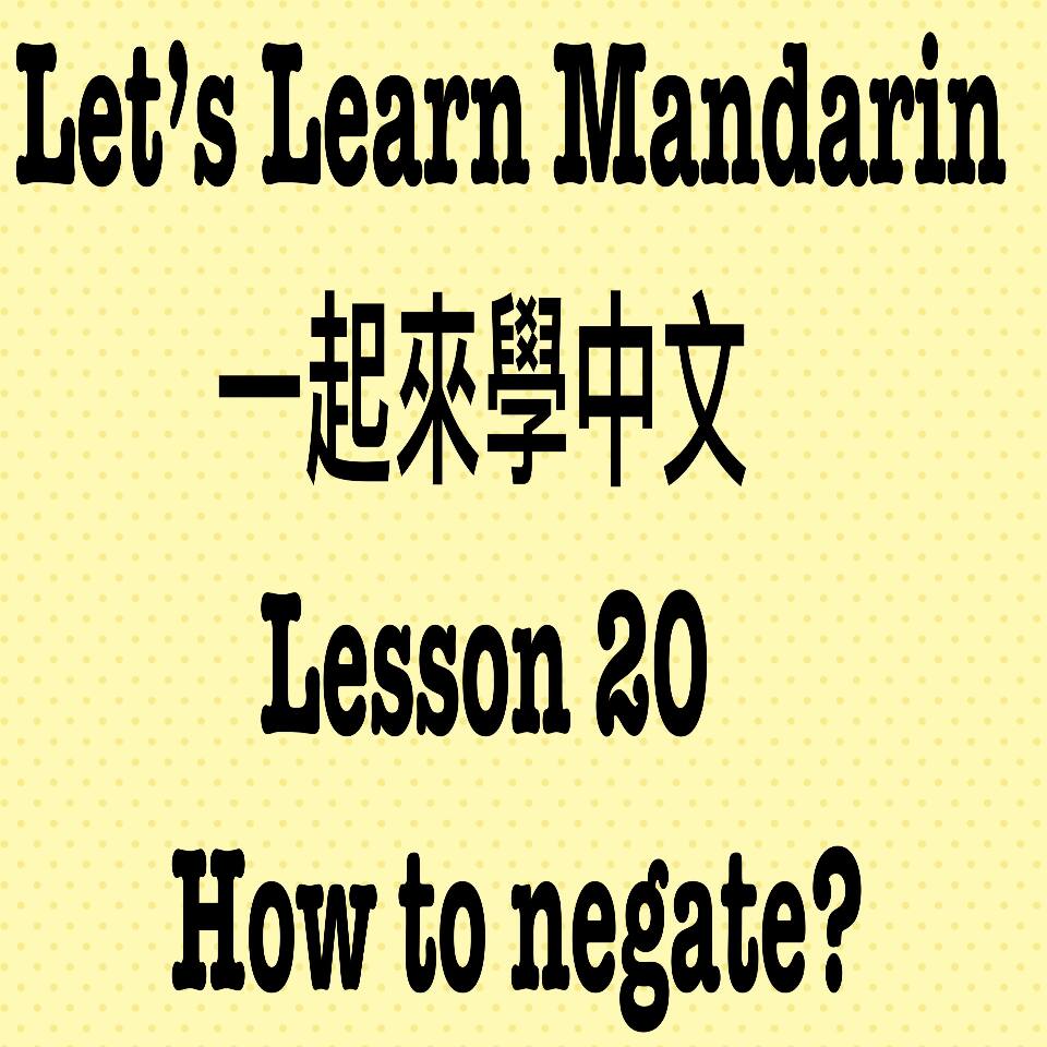 Lesson 20 How to negate