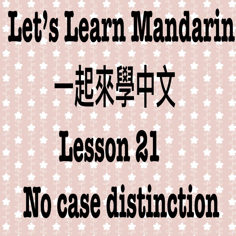Lesson 21 No Case Distinction