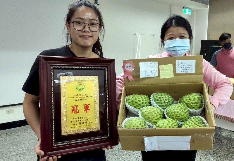 Ang pinuno ng Taitung ay pumunta sa China upang mag-lobby para sa pagpapatuloy ng pag-export ng prutas