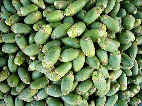 Chinese Chewing Gum- Betel Nut
