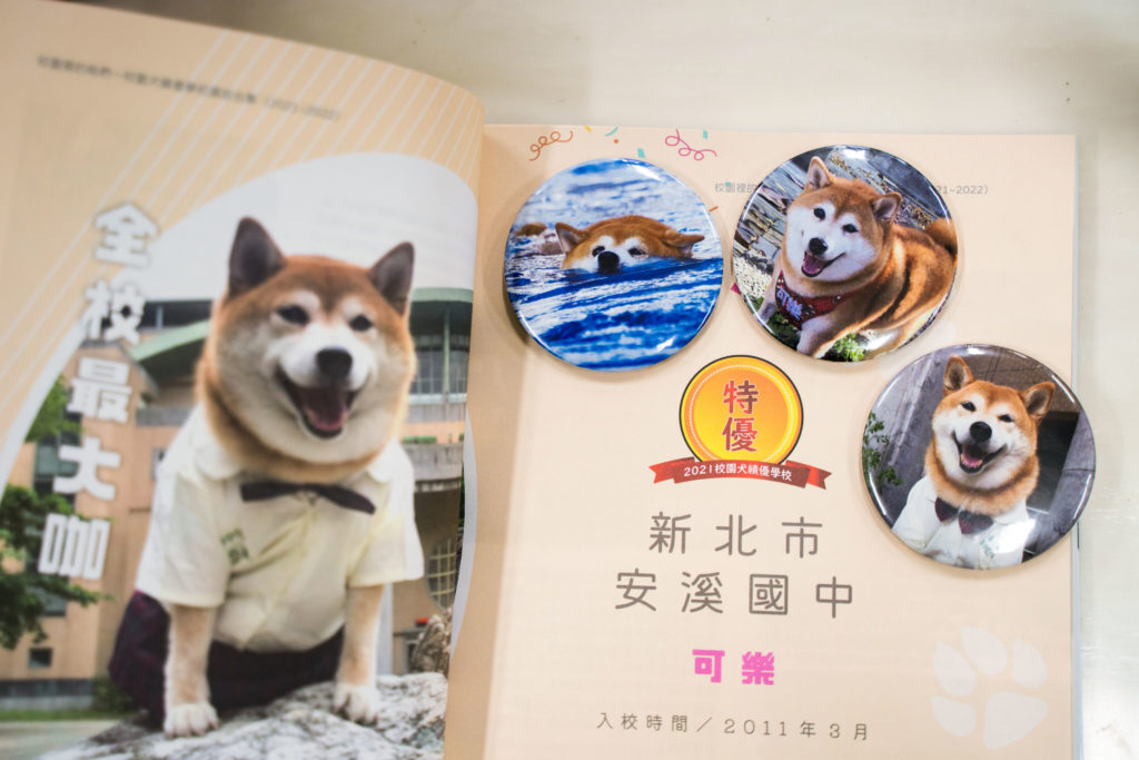 Si Cola the school dog, isang very touching story ni Cola