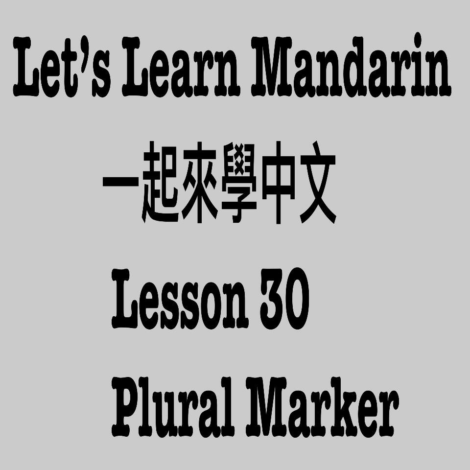 Lesson 30 - Plural Marker