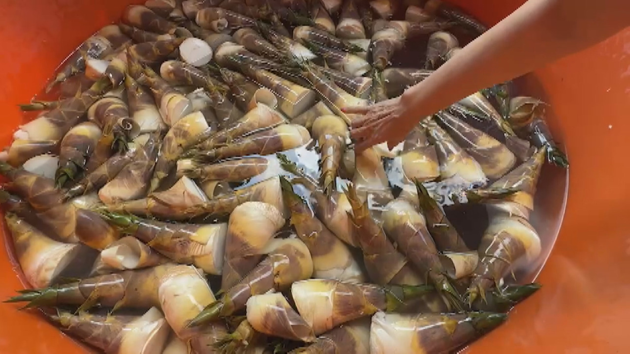 Tumaas ang presyo ng green bamboo shoot dahil sa kondisyon ng tagtuyot
