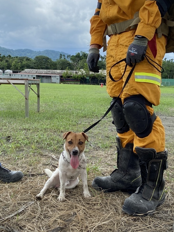 Search and rescue dogs IRO International Evaluation Platform Day 8 teams nakatanggap ng mga sertipiko