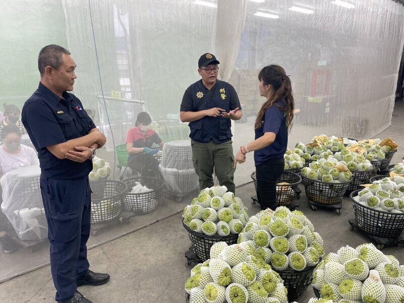 Ang mga nagtatanim ng custard apple ay nahaharap sa maraming mga pag-urong ngayong panahon ng pag-aani