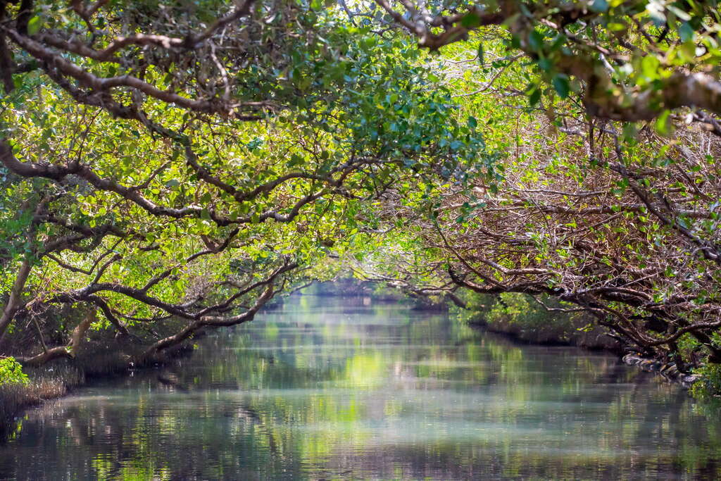 Tara Mamasyal sa Taijiang National Park