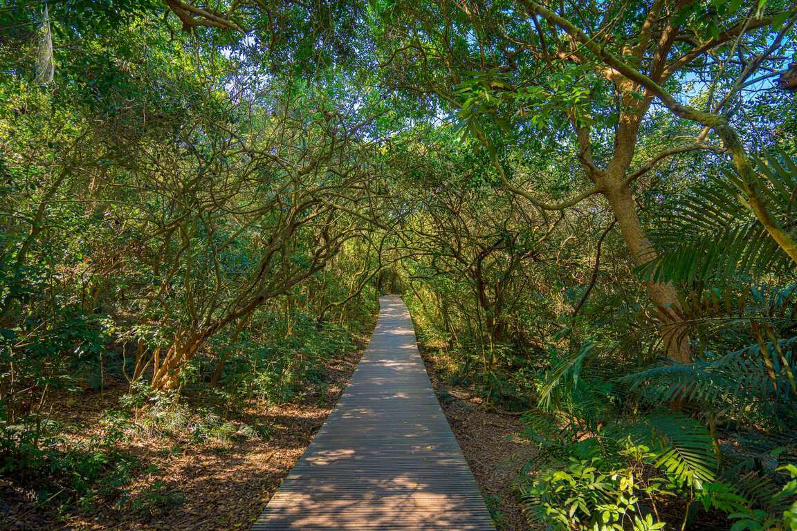 Tara Mamasyal sa Shoushan National Natural Park!