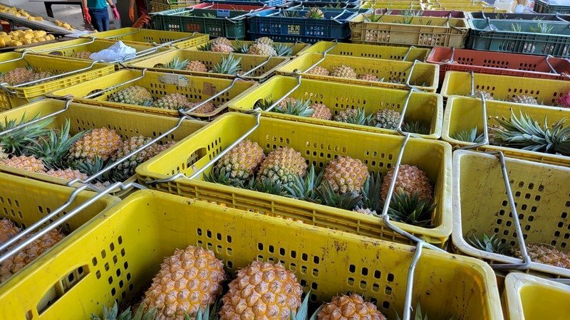 Ang sariwang Taiwanese na pinya ay i-export sa New Zealand