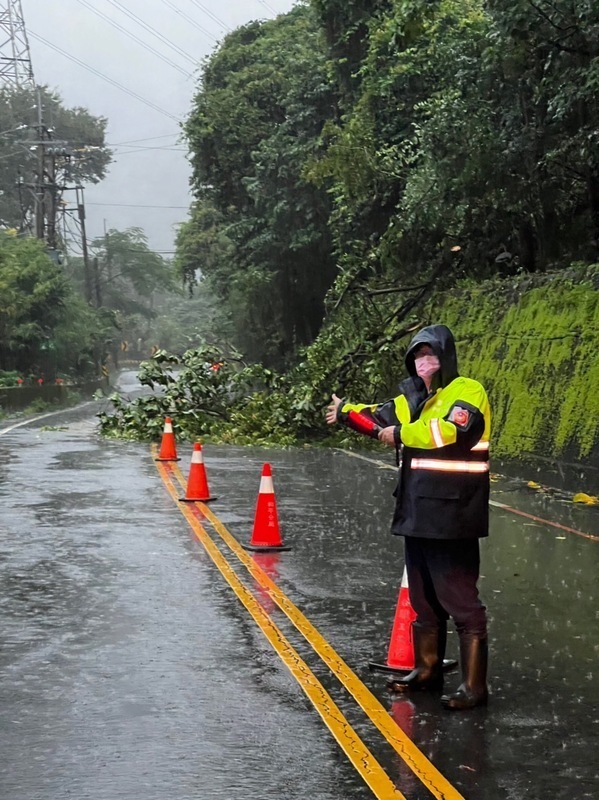 Ang mga natumbang puno ay nagdulot ng panandaliang pagkawala ng kuryente sa Taoyuan noong Huwebes ng umaga