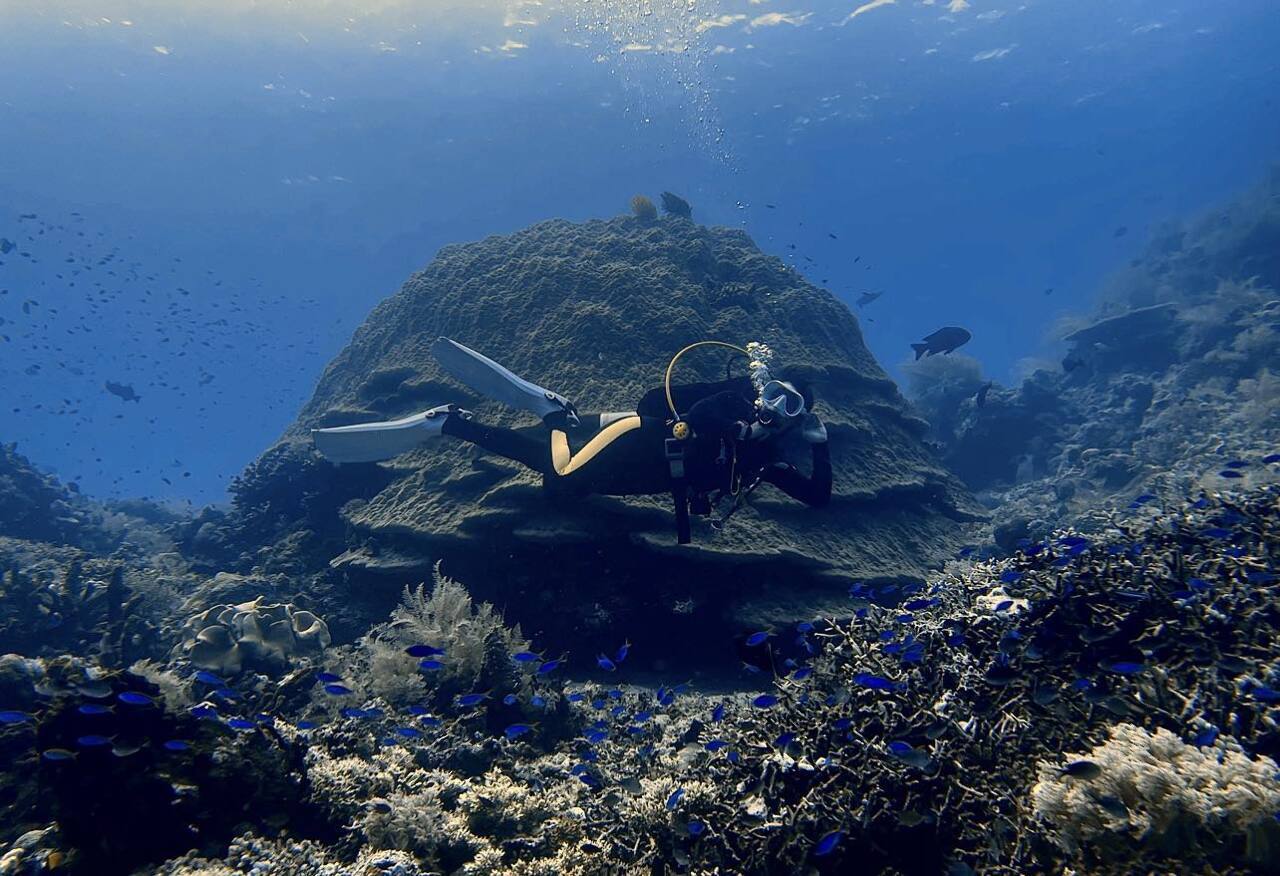 Scuba Diving!