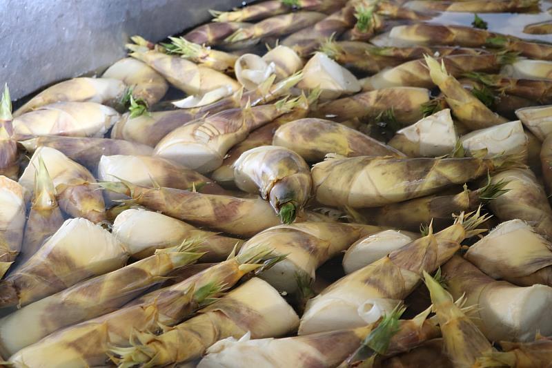 Kumakain ba kayo ng Labong?