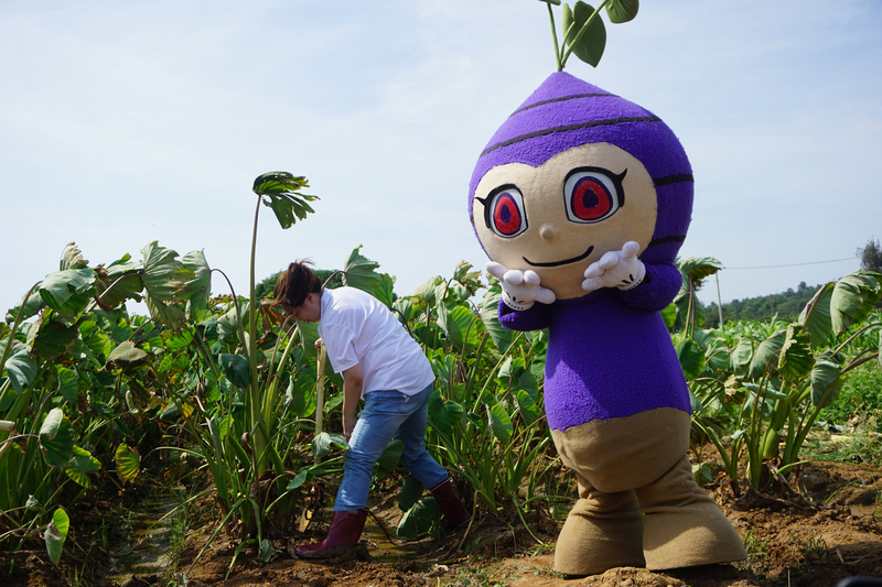 Ipinapakita ng Lieyu Festival ang mga masasarap na pagkain na gawa sa taro