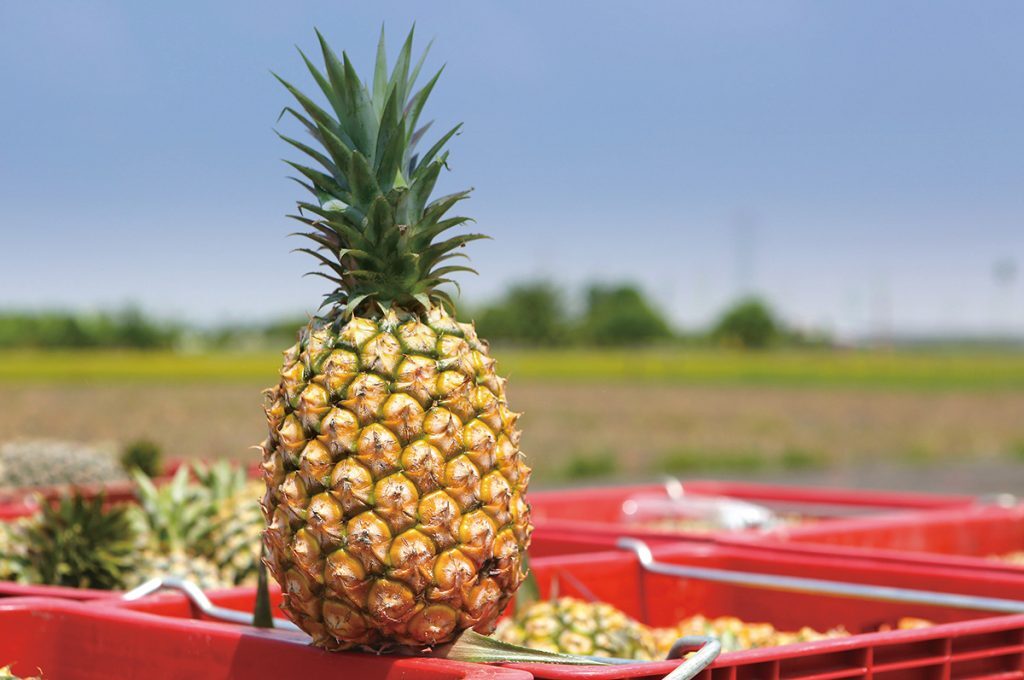 Ang Pineapple