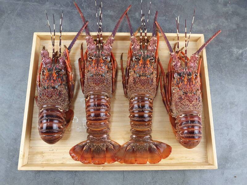 Ang mga boluntaryo ay tumatanggap ng lobster para sa pagbibigay ng dugo
