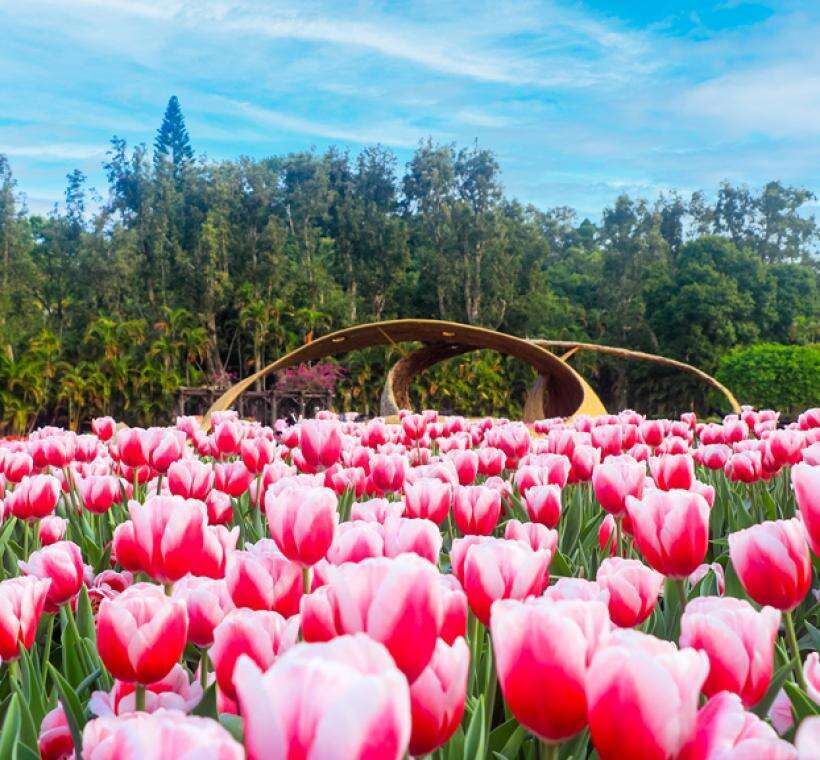 Flower Festival sa Taiwan 2025
