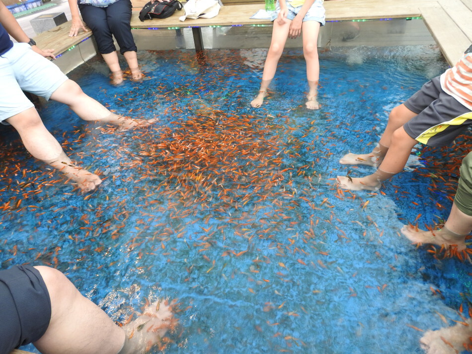 Fish Foot Spa: Natural na Exfoliation para sa mga Paa